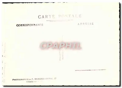Drzewo w kwiecie z cyprem — Włochy — Fotografia F. Baruzzi-Ostal — Rewers