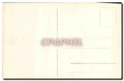 Michelangelo - La Sibilla Libica — fresco della Cappella Sistina — editore Ernesto Richter, n° 207 — Verso