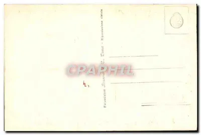 Roma — Statua S. Pietro — Wydawca Brunetti & C. n° 329 — Rewers