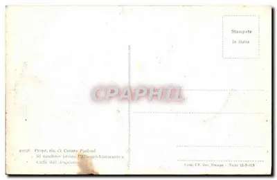 Rocca di Papa — Piękne drzewo na alei Tufa — Rewers