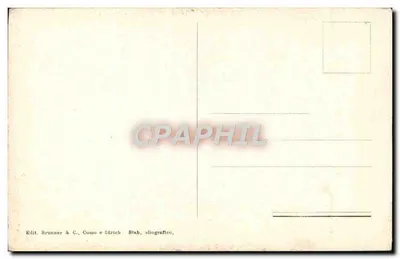 Testa di Apollo Citarede — busta rzeźbiona — Muzeum Narodowe, Neapol, nr 10527 — Rewers