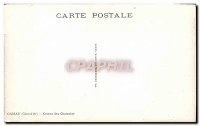 Meursault — Montirachel — Coteau des Chatenier — Wyd. Gamay — Rewers