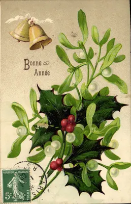 Mistletoe i dzwony — Wesołych Świąt — Republika Francuska