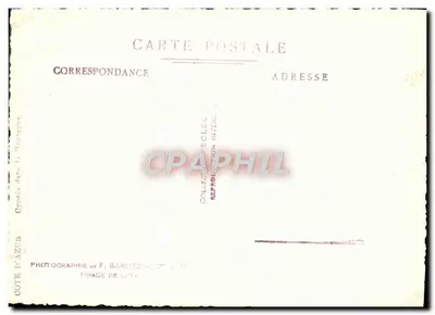 Ciprestes na Montanha — Côte d'Azur — Fotografia de F. Baruzzi-Cott — Verso