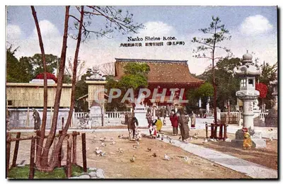 Templo Nankō Kobe — vista do santuário com visitantes e pombos — editor desconhecido, número de série não visível