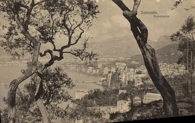 Sorrento — Panorama — Edit. Brunner & C., Como