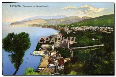 Sorrento. Panorama de Capodimonte. — Ed. C. Calini Repoll.