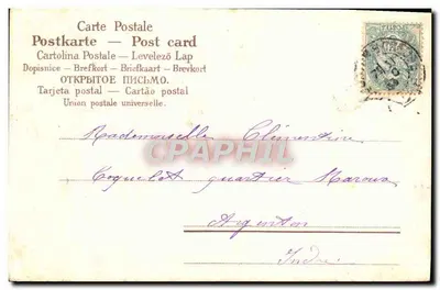 Veldbloemen van de papaver — Wensen van geluk — Marie D. — Achterkant