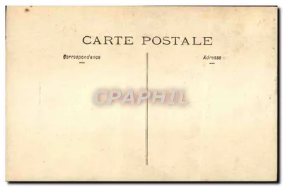 Mulher e cachorro — jardim — Carta postal — Verso