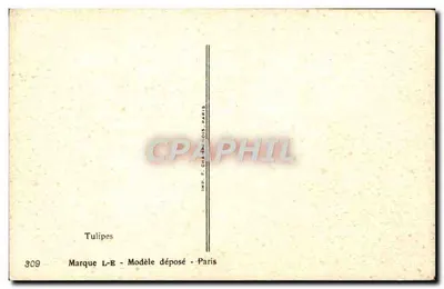 Tulpen — kleurige bos — uitgave F. Châtain-Nois, Parijs, n° 309 — Achterkant