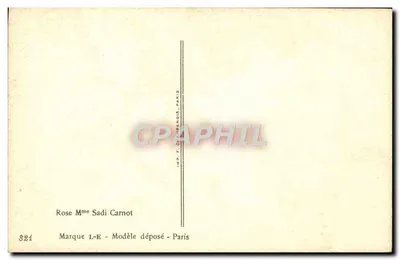 Rosa gialle — illustrazione — Millob — Verso
