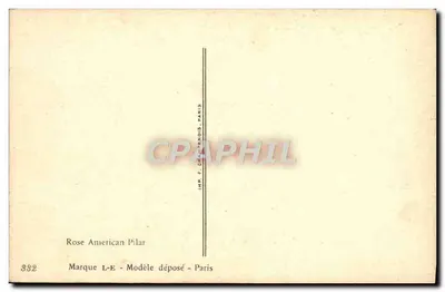 Rosas American Pilar — ilustração de Millot — IMP. F. Cazenous, Paris — Verso