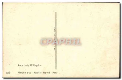 Rosas Lady Hillingdon — ilustração de Millot — Imp. E. C. Paris — Verso