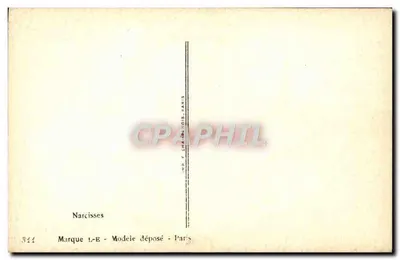 Narcissen — illustratie ondertekend 'Allibert' — Merk 1-E, model aangemeld, Parijs — Achterkant