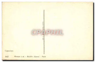 Capucinas — ilustração botânica — Alillot — Verso
