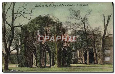Ruínas nos Jardins do Palácio Episcopal, Norwich — J.W.S.1208 — J. Welch & Sons, Portsmouth