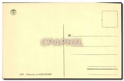 Palmeraie de Beni-Ounif — Editor SP-16A, número de serie 6/39 — Reverso