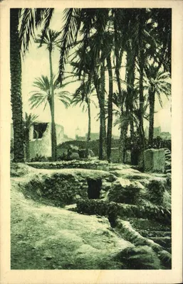 Kazur de Zenegs no dito Norte — Figuig — SPGA 12/39