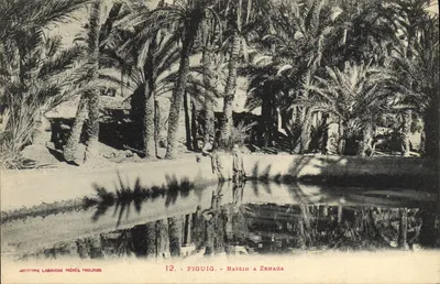 Figuig - Bassin à Zknaga — Autotype Labouche Frères, Toulouse, n°12
