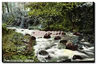 No vale de Loxley, Sheffield — vista de riacho na floresta — editor não visível