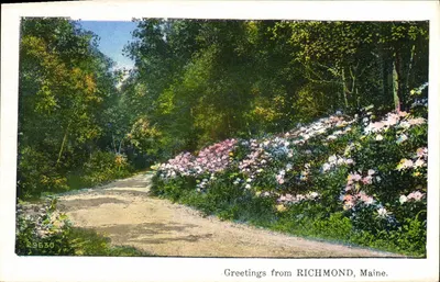 Richmond, Maine — Caminho cercado de flores — série paisagens 24
