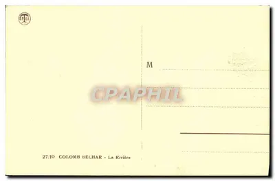 Palma przy brzegu rzeki — Colomb Bechar, Algieria — wydawca Spiga, n° 27/10 — Rewers