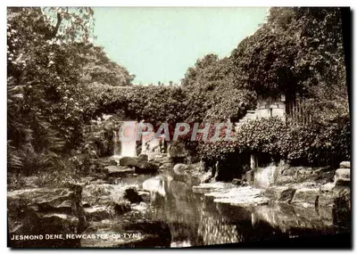 Jesmond Dene, Newcastle-on-Tyne — cachoeira e rochedos — série 'Dainty'