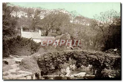 Jesmond Dene, Velho Moinho, Newcastle-on-Tyne — editor Dainty, série 'Dainty'