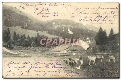 Stara pocztówka Chalet de la Jougnenaz Vaches