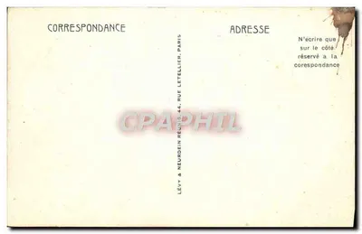Una carovana in marcia — Algeria — editore ND, n° 491 (a) — Verso