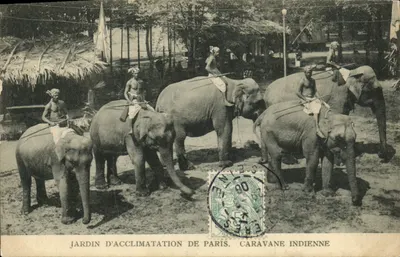 Zoo w Paryżu — Karawana indyjska — wydawca nie widoczny