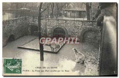 Paris - A Fosse aux Ours inundada pelas Águas — Cheia do Sena