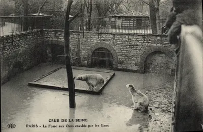 Paris - A Fossa dos Ursos Inundada — Cheia do Sena — Editor EID