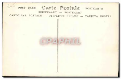 Parigi — I orsi bianchi del Jardin des Plantes colti nell'incavo dall'inondazione — ND Phot. n° 246 — Verso