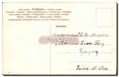 Pansy — ilustracja botaniczna — A.B.M. N° 318 — Rewers