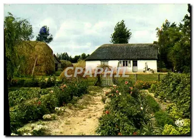 Pays de Monts — Marais vendéen — Bourrine — editor APTAUD
