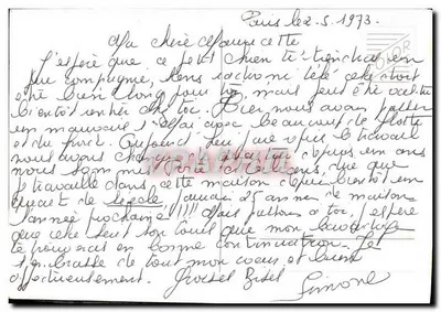 Yorkshire Terrier — pequeno cão com lenço laranja — editor não visível — Verso