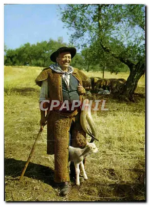 Boer met lammetje — Uitgever: Bergez (Typisch) — N° 200