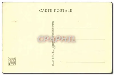 사자와 사자들 — 국제 식민지 박람회 - 파리 1931 — 동물원 — 뒷면