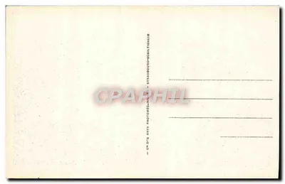 Nice — Pałac na Przystani i Ogrody Albert-1er — Wydawca Cap — Rewers