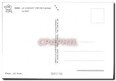 O Cervo — Le Vesinet (78110-Yvelines) — Abeille-Cartes, Paris — Verso