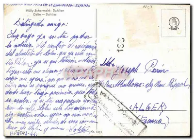 Kwiaty jesiennego bukietu — chryzantemy i jagody — Willy Schermele — Rewers
