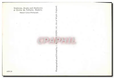 朱顶红、蝴蝶兰和蒙布雷亚——马德拉岛帕莱罗庄园——J. Arthur Dixon有限公司 — 背面