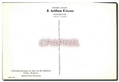 Cultivated Terraces — Machico Valley, Madeira — J. Arthur Dixon, MDR. 50 — Back