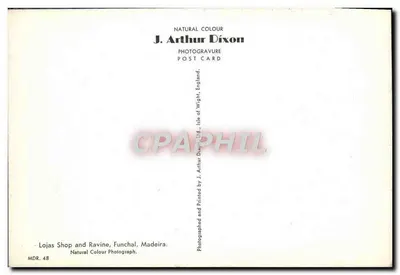 Lojas Shop and Ravine, Funchal — Madeira — J. Arthur Dixon, MDR. 48 — Verso