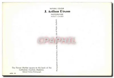 Mercado de flores — praça da catedral — J. Arthur Dixon, MDR. 53 — Verso