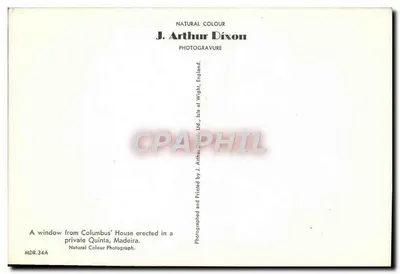 Widok ogrodu — Widok z okna prywatnego ogrodu Columba — J. Arthur Dixon, Anglia — Rewers