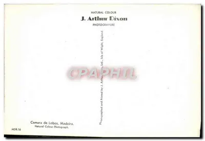 Camara de Lobos — widok zatoki i domów na stoku — J. Arthur Dixon, Madeira — Rewers