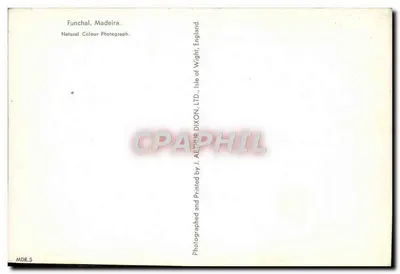 फंचल, मेडीरा — पोर्ट के दृश्य साथ जहाज — J. Arthur Dixon, Ltd. — पीछे