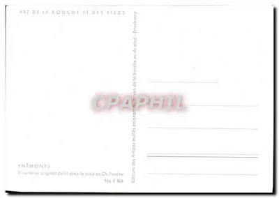 Anemonen — geschilderd met het voetje — Ch. Pasche — No F 804 — Achterkant